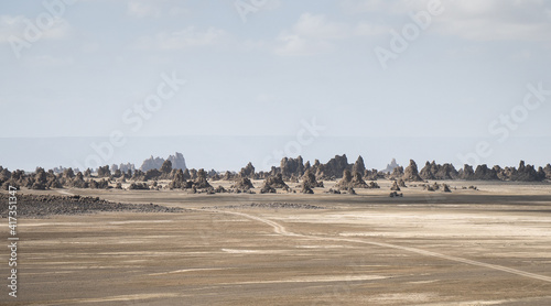 Fotografia Landscape Lac Abbe, Djibouti East Africa