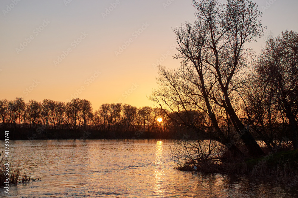 Sunset with the sun setting on the horizon among the silhouetted trees, golden hour with a river. Big African sun