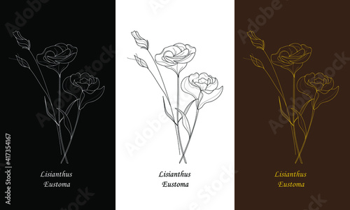 Set with single flowers of lisianthus. Botanical flower lisianthus. Vector illustration. photo