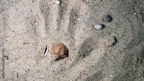 reflection of a hand in the sand with visible stones G