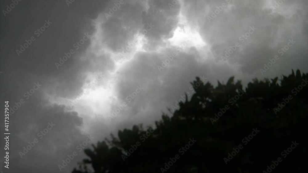 a timelapse of thunderstorms that flash across the sky against a foreground of silhouetted trees. a timelapse of thunderstorms that flash across the sky against a foreground of silhouetted trees.