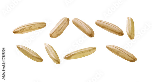 A set of raw rice. Isolated on a white background