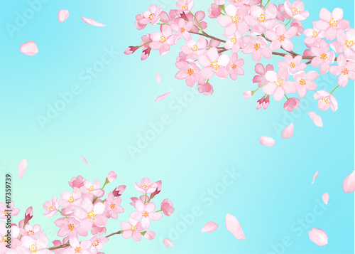 春の花：さくらと散る花びらのフレーム。水彩イラストのトレースベクター。
