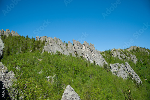 rock overgrown with green trees and bushes photo