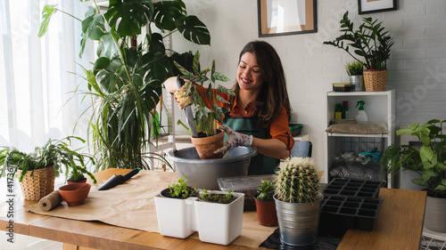 Young woman potting a plant at home. Engaging leisure activities. Indoor gardening. 