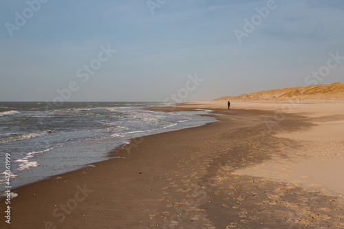 Fototapeta Naklejka Na Ścianę i Meble -  Walking along the North Sea beach and the dunes on the Wadden island of Texel on a beautiful sunny winter day