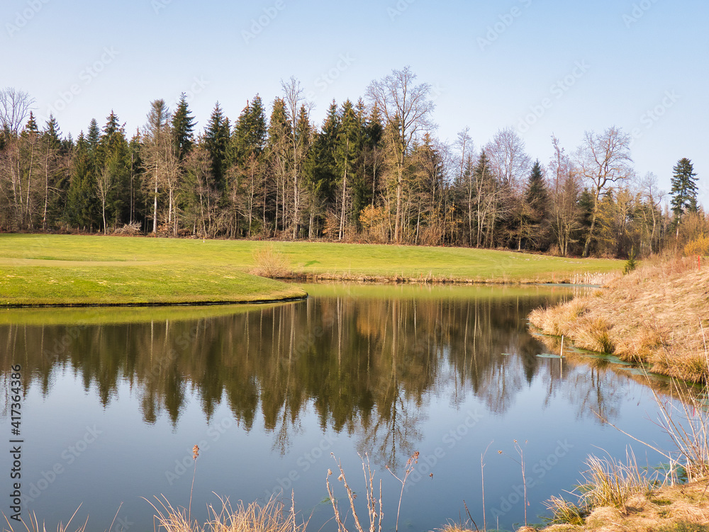 Landscape with pond, meadow and forest. Reflection in water