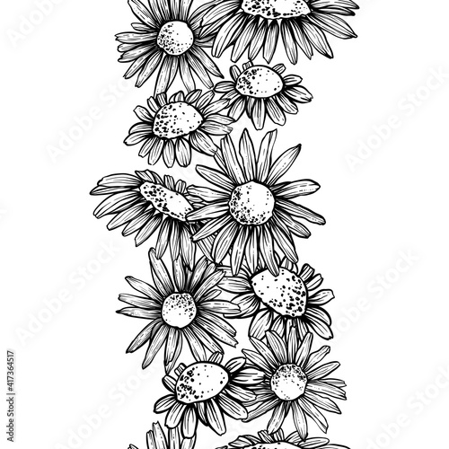 Vertical seamless line of chamomile flowers  monochrome  vector