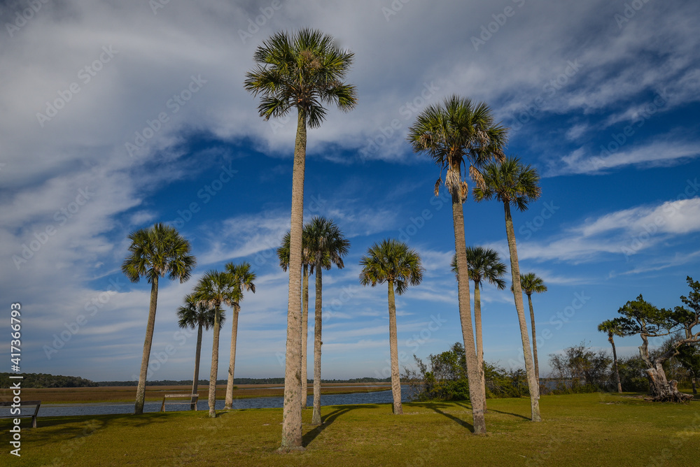 Beautiful and natural Floridian Park Beautiful and natural Floridian Park