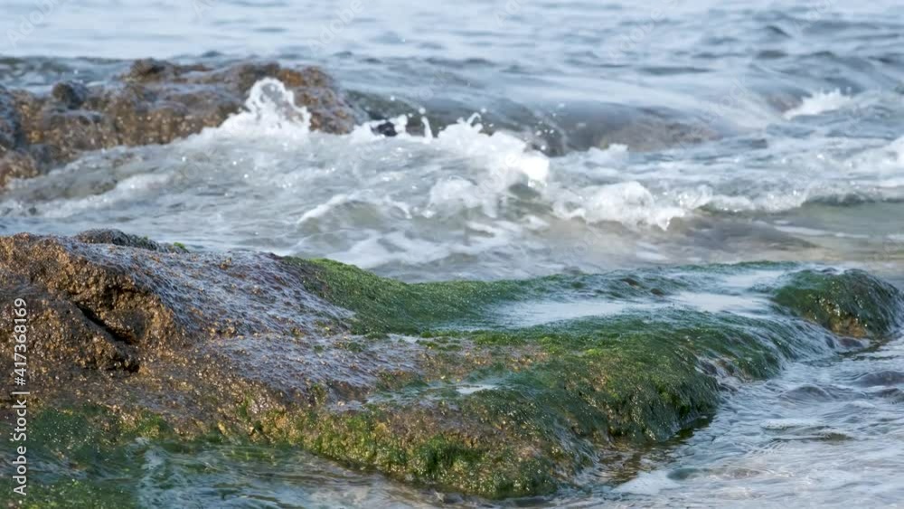 Close up of stone beach in summer sunny day. Sea waves washing over big stone with seaweed. Calm pure water surface, happy summer vacation. Empty beach, lockdown pandemic coronavirus covid 19. Close up of stone beach in summer sunny day. Sea waves washing over big stone with seaweed. Calm pure water surface, happy summer vacation. Empty beach, lockdown pandemic coronavirus covid 19.