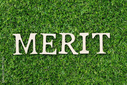 Wood alphabet letter in word merit on green grass background photo