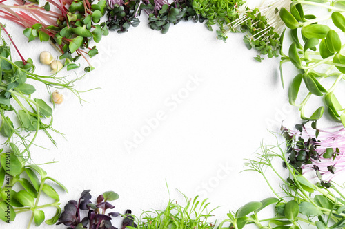 Frame made with different microgreens on white table, flat lay. Space for text photo