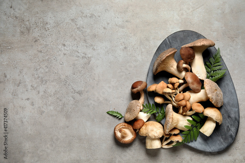Flat lay composition with different mushrooms on light grey background, space for text