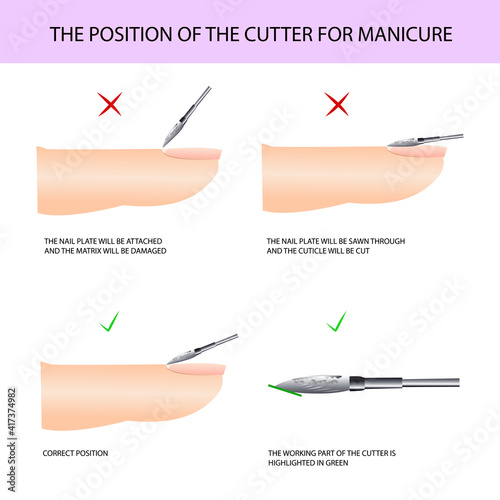 Correct use of the cutter. Professional manicure guide, Vector illustration, infographics
