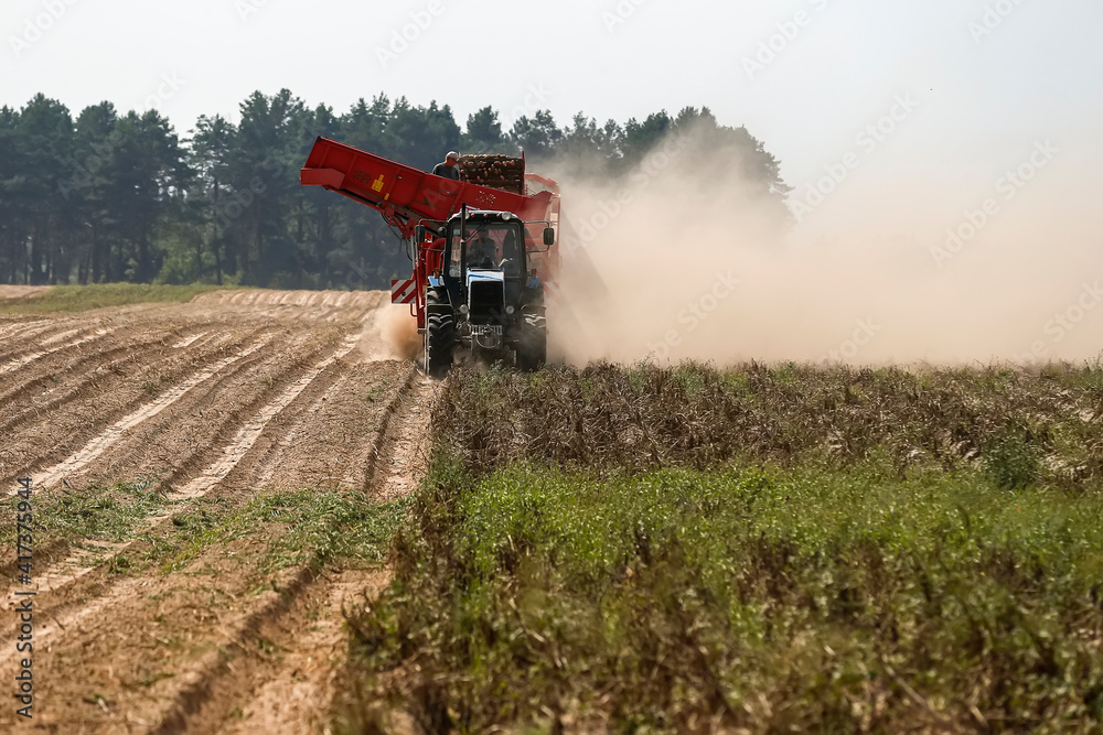 The combine harvests potatoes in the field. Kyiv region, Ukraine. August 2014 The combine harvests potatoes in the field. Kyiv region, Ukraine. August 2014