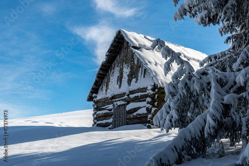cottage and tree at "Hochanger" mountain near the city Bruck an der Mur in Styria, Austria in winter