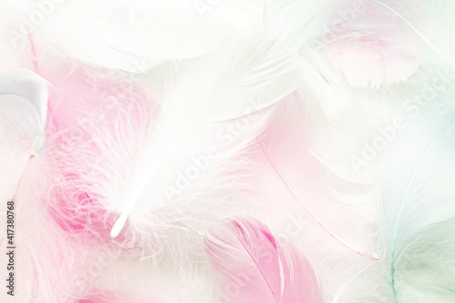 Pastel colored fluffy feathers of bird for background