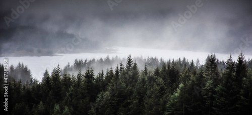 Fog rolling over Loch Tulla and coniferous forest in Scottish Highlands.Dark and moody landscape scenery.Scotland on a gloomy day. photo