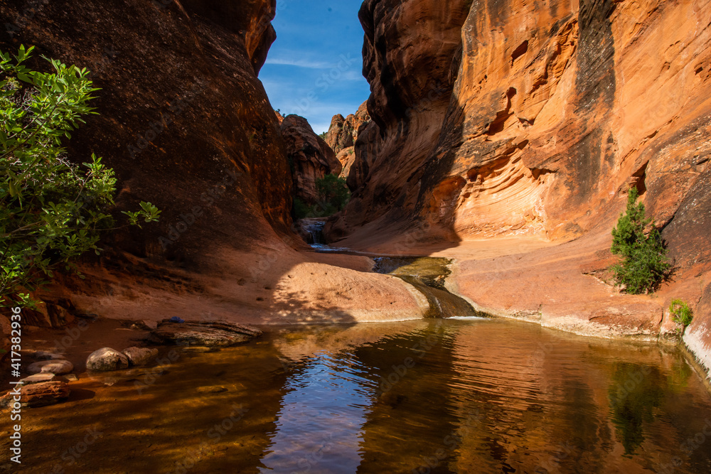 red rock canyon with small stream