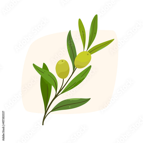 Branch of olive. Flat colorful illustration.
