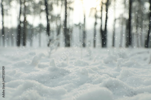Ground covered with snow in forest, closeup