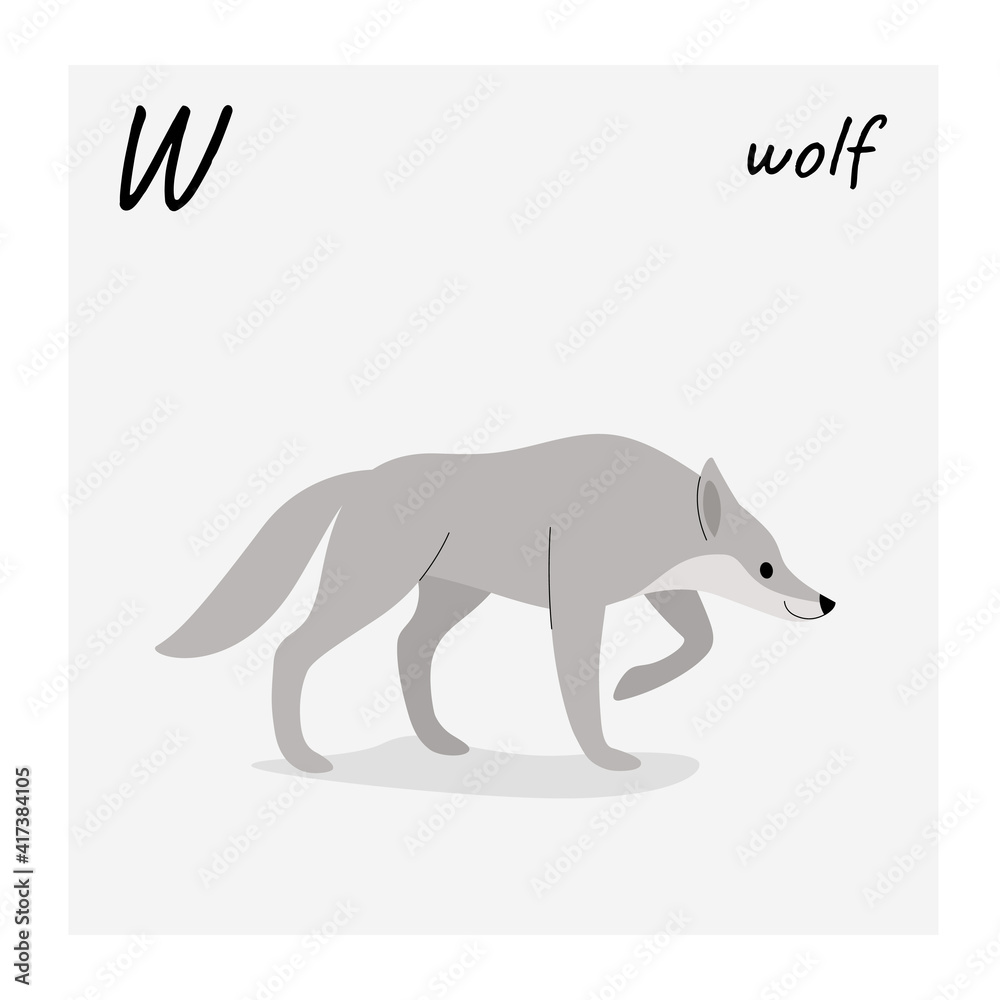 Cute wolf - cartoon animal character. Cartoon illustration in flat style isolated on gray background.