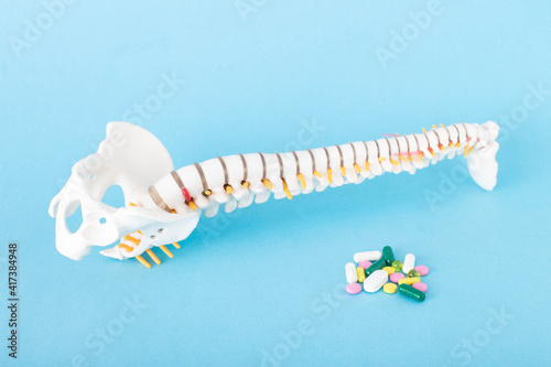 A mock up of the spine on a blue background and next to a handful of pills. Concept of analgesic anti-inflammatory tablets myolexants for back pain. Copy space for text
