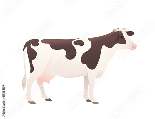 Dairy cattle ayrshire cow spotted domestic mammal animal cartoon design vector illustration on white background