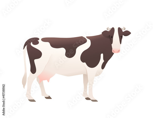 Dairy cattle ayrshire cow spotted domestic mammal animal cartoon design vector illustration on white background
