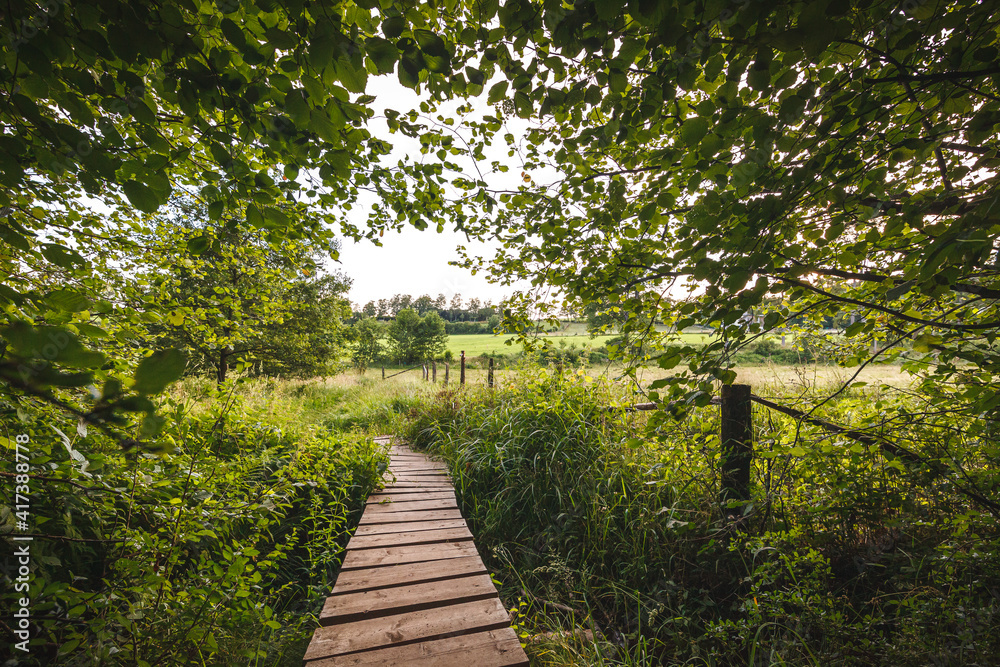 Obraz premium Der Steg