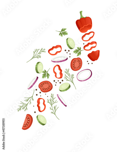 Sliced vegetables with tomato cucumber and herbs colored food icons for cooking vector illustration isolated on white background