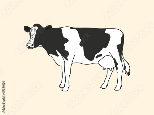 Realistic drawn cow on a light background