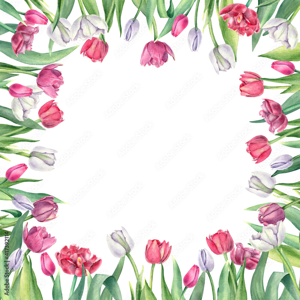 Frame with watercolor tulips on white background Frame with watercolor tulips on white background