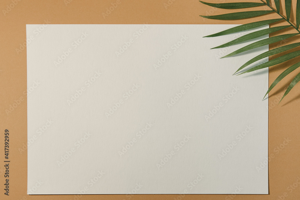 Laptop, plant, notebook, notepad, pen and glasses on the colorful orange background. Feminine workplace concept. Flat-lay, top-view. Laptop, plant, notebook, notepad, pen and glasses on the colorful orange background. Feminine workplace concept. Flat-lay, top-view.
