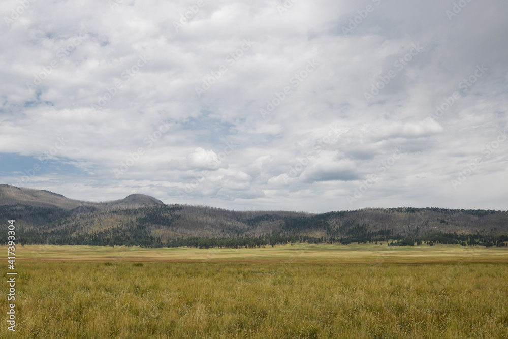 New Mexico, Caldera Valles.
Panoramic view of meadow at Valles Caldera near Los Alamos, New Mexico.