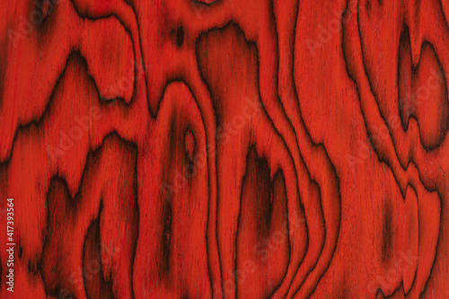 Sottsass Red veneer texture in attractive color, background for perfect design. photo