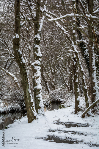 Winter Wonderland