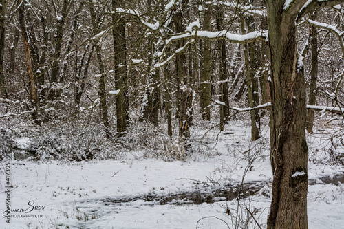 Winter Wonderland