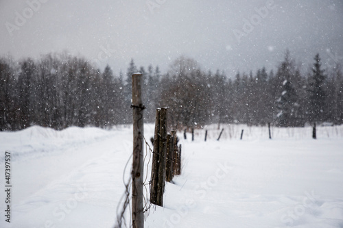 Wooden fence in winter with forest in background, Zakopane, Poland