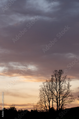 Sunset in the northern spanish fields with some trees © JoseLuis