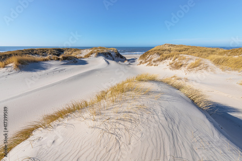 Sand dunes on the west coast of Denmark near Esbjerg. © Nick Brundle