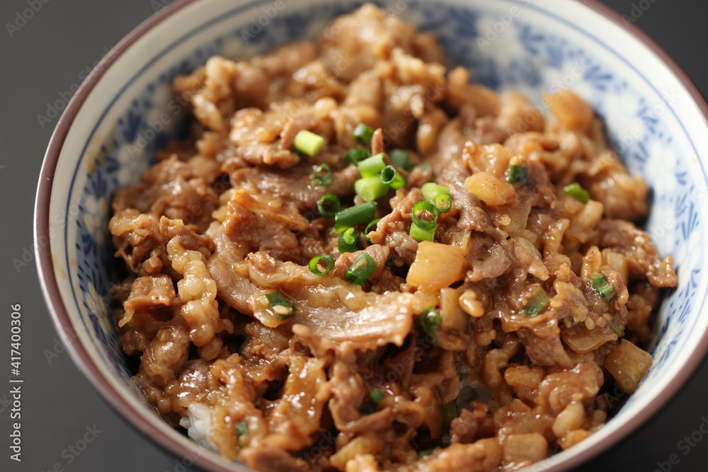 プルコギ丼 プルコギ丼