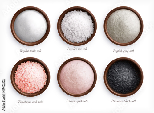 Salt Types Realistic Set