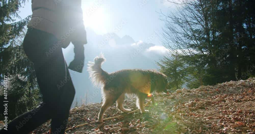 A sporty girl walking her big dog in the mountains while the sun is shining