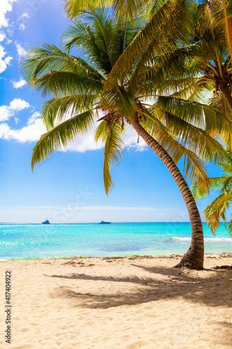 summer holidays background - sunny tropical paradise beach with white sand and palms