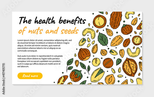 Nuts and Seeds landing page or flyer in the Doodle style. Vector template with walnuts, macadamia, hazelnuts and peanuts.