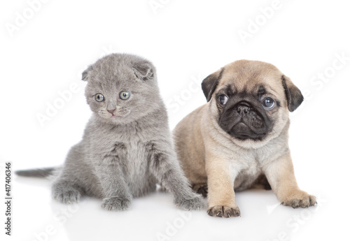 Tiny Pug puppy sits with gray kitten. isolated on white background
