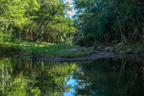 Fototapeta Naklejka Na Ścianę i Meble -  Lago natural verde tranquilo en una mañana fresca en salto pa´i colonia independencia paraguay