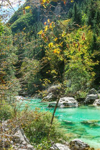 Fototapeta Naklejka Na Ścianę i Meble -  Smaragdgrünes Wasser der Soca in Slowenien