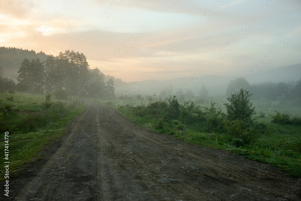Karadeniz bölgesinde Bartin ilinde yaylalar, otlar, hayvanlar.